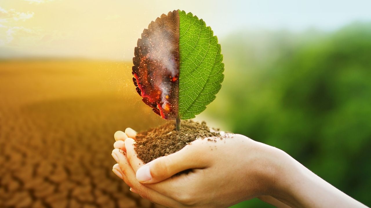 Environmental Impact Assessment